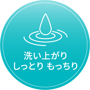 洗い上がりしっとり もっちり