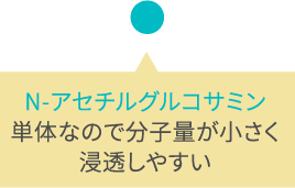 N-アセチルグルコサミン:単体なので分子量が小さく浸透しやすい